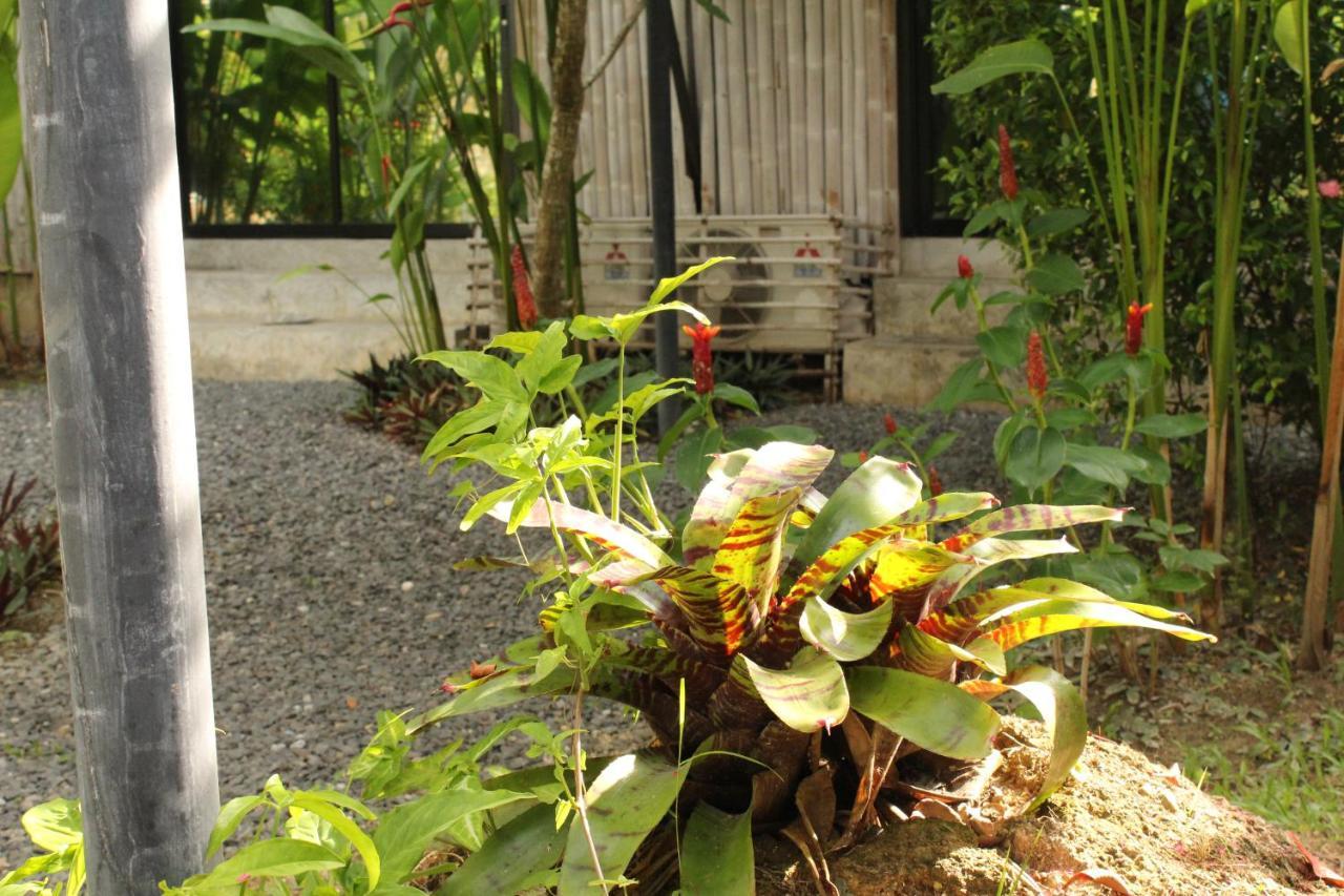 B Happy Resort - Sha Extraplus Kamala Beach Buitenkant foto